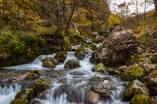 Fraser Valley Creek