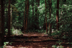 Fraser Valley Trail