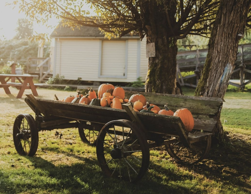 Kilby Historic Site & Campground