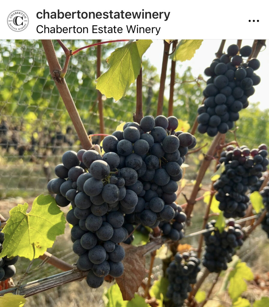 Chaberton Estate Winery