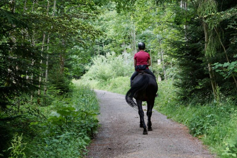 Horseback riding in Langley